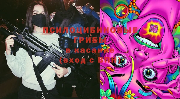 ГАЛЛЮЦИНОГЕННЫЕ ГРИБЫ Балахна