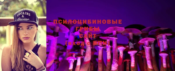 spice Арсеньев