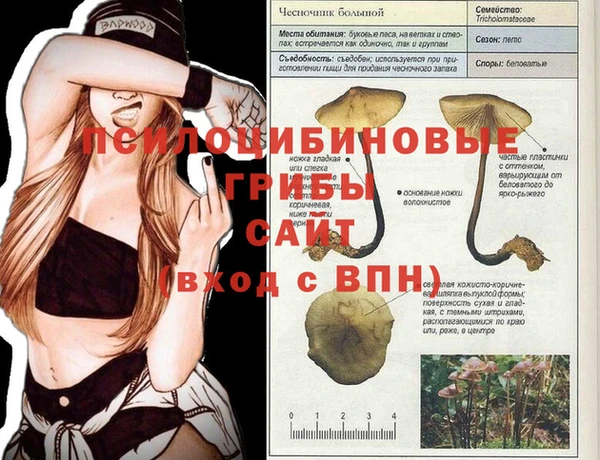 мет Баксан