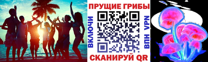 кракен маркетплейс  Бокситогорск  Псилоцибиновые грибы мухоморы  цены наркотик 
